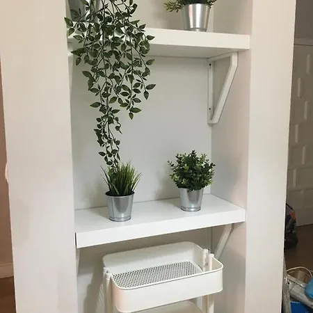 Piso Loureiro Crespo